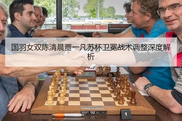 guo-yu-nv-shuang-chen-qing-chen-jia-yi-fan-su-bei-wei-mian-zhan-shu-tiao-zheng-shen-du-jie-xi-2-291.jpg