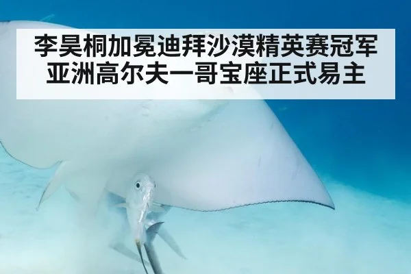 李昊桐加冕迪拜沙漠精英赛冠军 亚洲高尔夫一哥宝座正式易主
