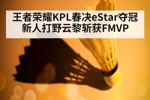 王者荣耀KPL春决eStar夺冠新人打野云黎斩获FMVP